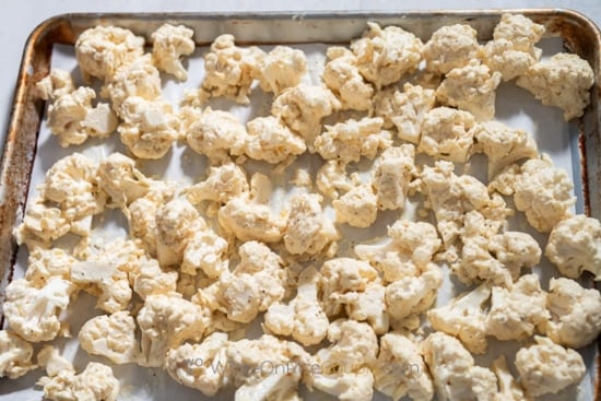 single layer on sheet pan