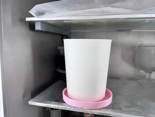 pre-freezing ice cream container