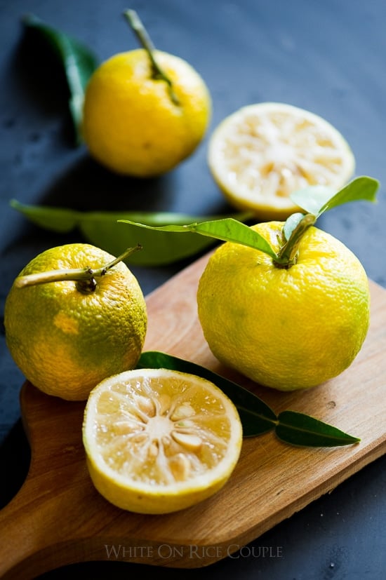 Japanese citrus fruit yuzu