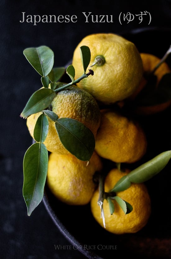 Japanese Yuzu Lemon - Yuzu Citrus Fruit for Japanese Recipes | @whiteonrice