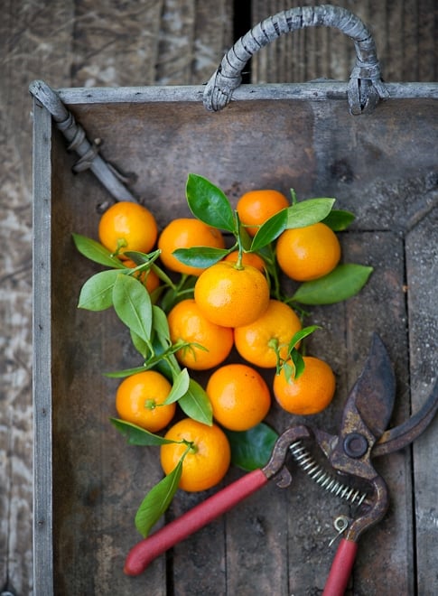 Kalamansi Limeade Drink Or Calamondin Orange White On Rice Couple