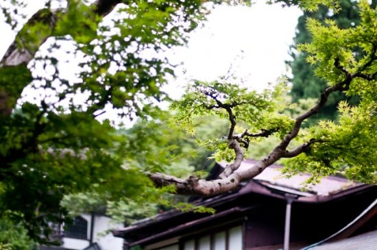 koyasan Japan 