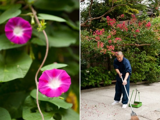 gardener at mt koya 