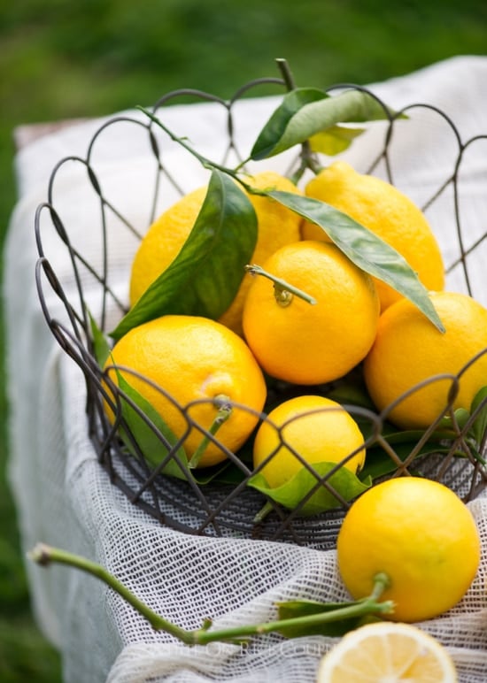 meyer lemons | whiteonricecouple.com