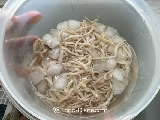 draining king oyster noodles