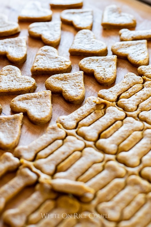 Best peanut butter dog biscuits precut into hearts and bones