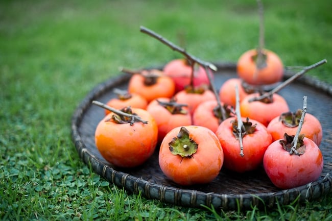 Persimmon tree photos and fruit | WhiteOnRicecouple.com