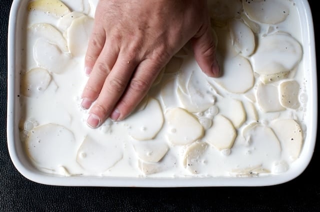 checking cream level for potatoes au gratin recipe