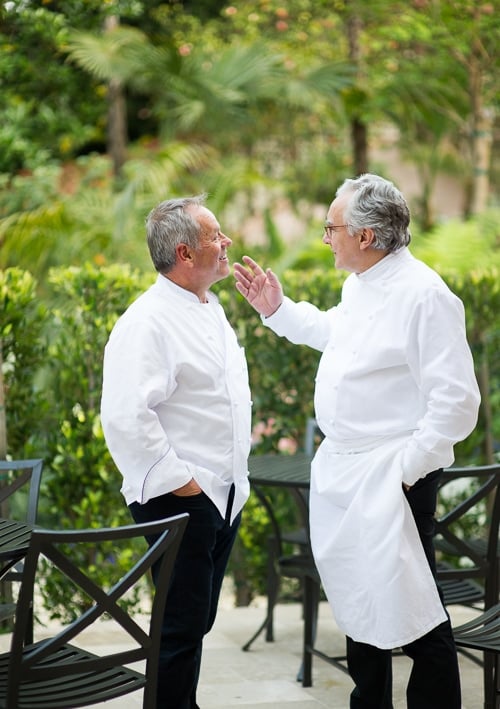 Chef Wolfgang Puck and Chef Alain Ducasse from White On Rice Couple 