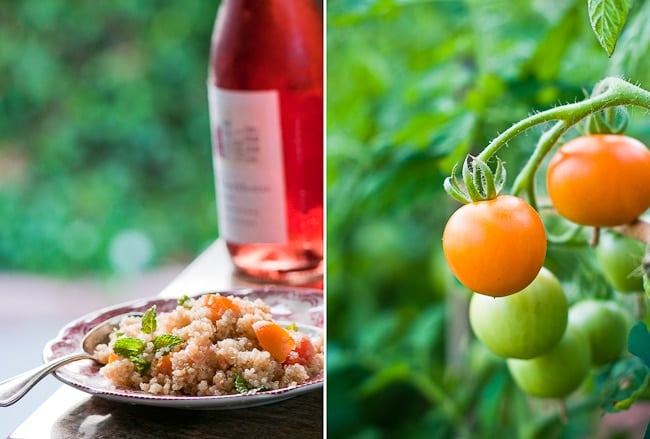 Jaune Flamme French Heirloom Tomato with quinoa and wine 