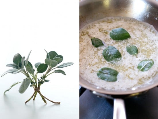 fried sage leaves in butter