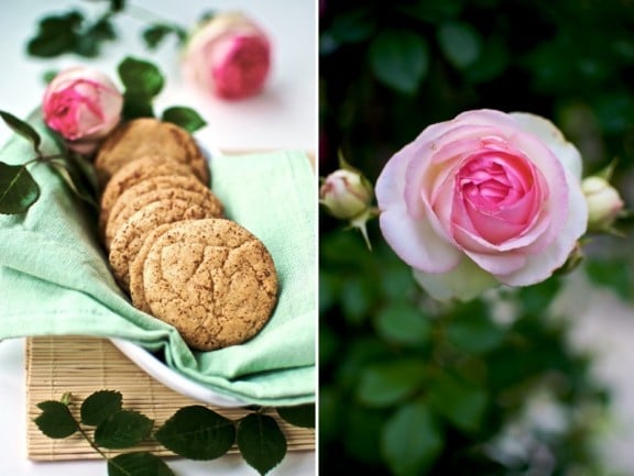 snickerdoodle-cinnamon sugar cookie recipe