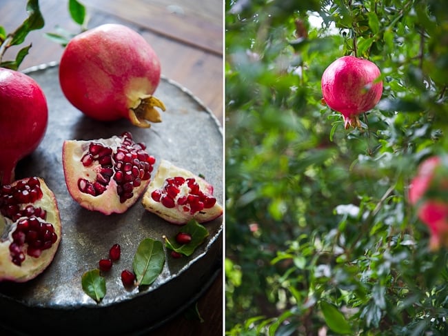 Refreshing Pomegranate Spritzer Drink | @whiteonrice