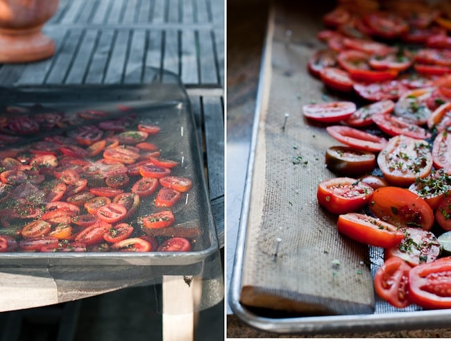 Sun Dried Tomatoes Recipe Homemade in Sun