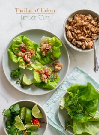 Chicken lettuce cups on a plate