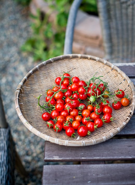 Garden sweet 100 cherry tomatoes | WhiteOnRicecouple.com