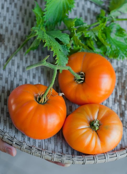 Kentucky Beefsteak Tomatoes from WhiteOnRiceCouple.com