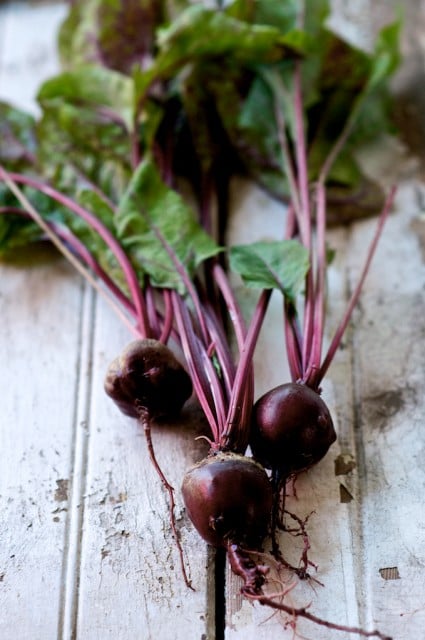 Don't Waste Edible Greens: Beet, radish, carrot tops are delicious | @whiteonrice