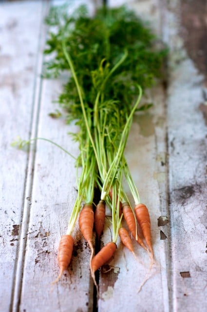 Don't Waste Edible Greens: Beet, radish, carrot tops are delicious | @whiteonrice