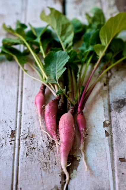 Don't Waste Edible Greens: Beet, radish, carrot tops are delicious | @whiteonrice