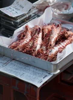 Tsukiji Seafood Market Japan with @whiteonrice