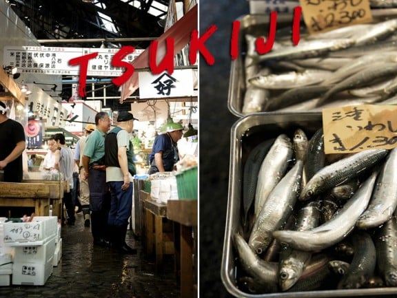 tsukiji-tease-3