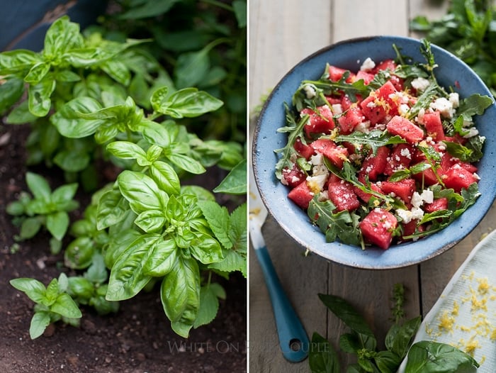 Watermelon Salad Recipe with Arugula, Feta, Mint or Fresh Herbs