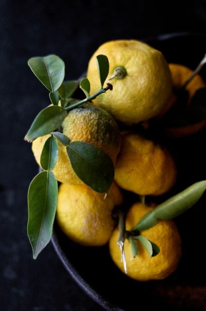 Yuzu Cocktail Recipe from this fragrant Japanese Citrus | @whiteonrice